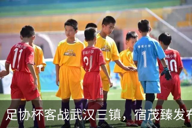 足协杯客战武汉三镇，宿茂臻发布会表决心，史松宸首发成看点，客场赢面占优，段刘愚发文官宣转会云南玉昆