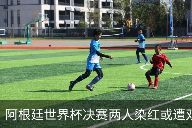 阿根廷世界杯决赛两人染红或遭双重处罚 希勒怒斥恶心怒批毫无底线